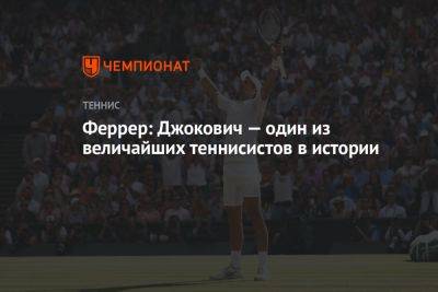 Феррер: Джокович — один из величайших теннисистов в истории