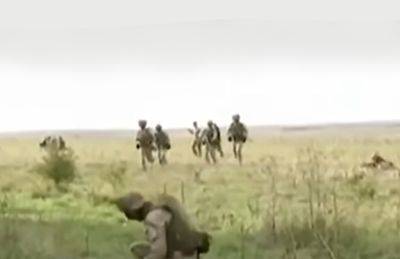 Устроили выступление HIMARS: ВСУ атаковали сборище российских войск под Кременной, детали операции