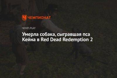 Умерла собака, сыгравшая пса Кейна в Red Dead Redemption 2