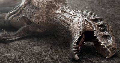 Живи быстро, умри молодым: как долго на самом деле могли жить динозавры