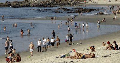 Химикаты и собачьи экскременты: в Испании сильно загрязнены почти 50 популярных пляжей, – СМИ