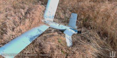 Воздушные силы уничтожили два российских беспилотника в Херсонской области