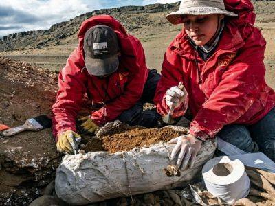 В Чили нашли останки утконосых динозавров - фото