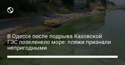 В Одессе после подрыва Каховской ГЭС позеленело море: пляжи признали непригодными