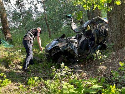 Водитель погибла, четверо детей пострадали в результате ДТП в Киевской области. Фото