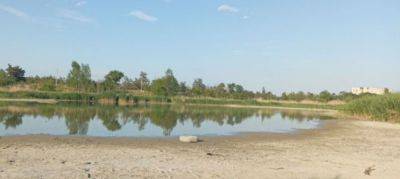 "От него уже ничего не осталось": в сети показали, как сейчас выглядит Парковое озеро в Северодонецке