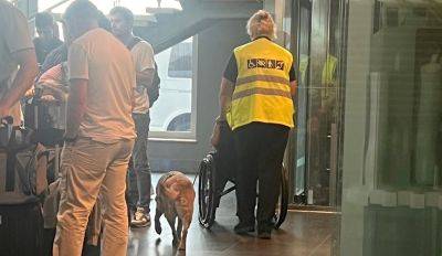 "Уму непостижимо!" — в аэропорту "Рига" авиакомпания запретила провести в самолет собаку-поводыря