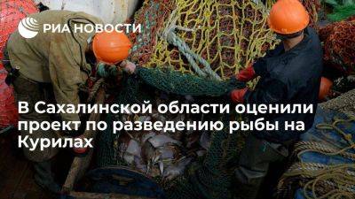 Власти Сахалина заявили, что разведение рыбы на Курилах даст в бюджет 60 миллиардов рублей