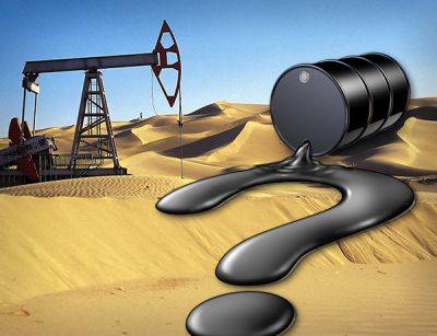 Власти Саудовской Аравии приняли рискованное решение в сфере нефтедобычи