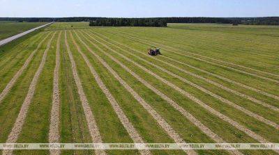 Три области Беларуси завершили первый укос трав