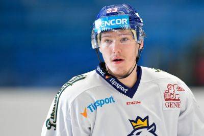 Глава Федерации хоккея Чехии высказался о запрете Яшкину играть в сборной из-за выступления в КХЛ
