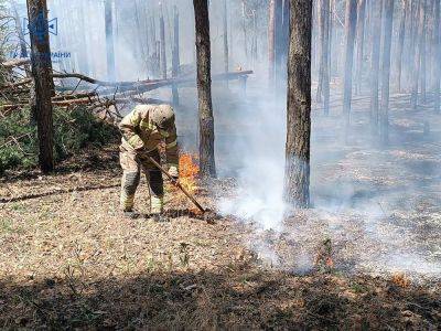 Россияне обстрелами подожгли хвойные леса на Харьковщине (фото)