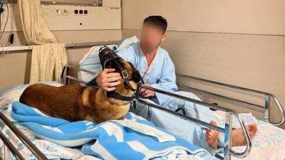 Раненых в операции ЦАХАЛа пса Даго и его инструктора лечат в больнице "Рамбам"