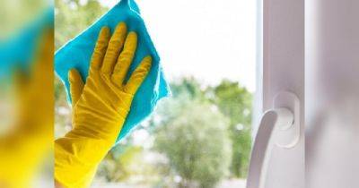 Как мыть окна без разводов: простые лайфхаки, которые вам точно помогут