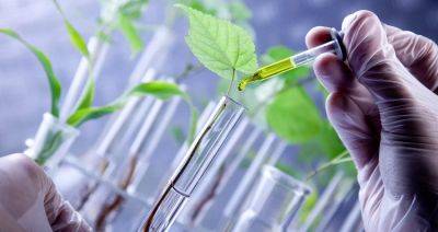 Производство биотехнологической продукции в Беларуси выросло на 60 %