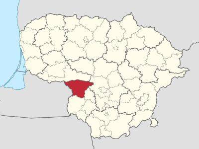 В Шакяйском районе женщина упала с оборудованного на дереве домика и погибла