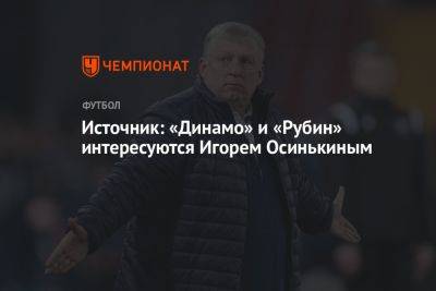 Источник: «Динамо» и «Рубин» интересуются Игорем Осинькиным