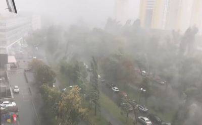 Киев накрыла адская непогода: пылевая буря, ураганный ветер рвет деревья и свет пропал. Жуткие кадры
