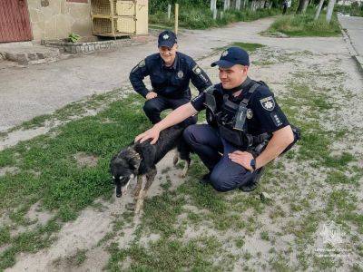 Харьковские копы спасли пса, оказавшегося в ловушке (фото)