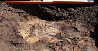 Стоянки древних людей возрастом 700 тысяч лет: обнаружены удивительные находки времен палеолита (фото)