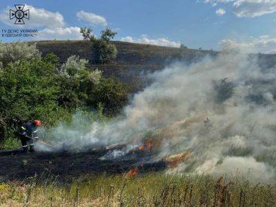 В Одесской области огонь уничтожил 24 га сухой травы | Новости Одессы