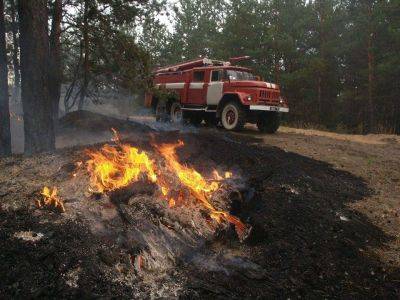 На Харьковщине из-за обстрелов произошли лесные пожары — Синегубов