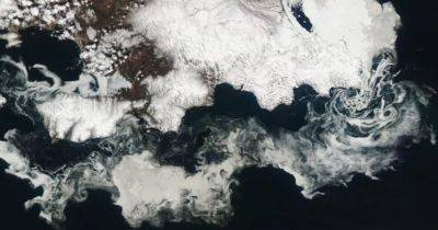 Предвестник конца. В Арктике замечены ледяные водовороты, раскинувшиеся на сотни километров (фото)
