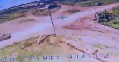 Применили дрон-камикадзе: "Птахи Мадяра" уничтожили танк оккупантов (видео)