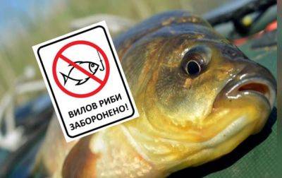 В водоемах юга Украины запретили лов рыбы