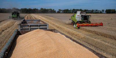 Экспорт через зерновой коридор за прошедшую неделю сократился на 33% - УКАБ