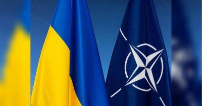 «Это не должны быть просто слова»: шведский депутат про гарантии Украине членства в НАТО