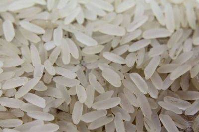 Минсельхоз хочет запретить вывоз риса из России до 2024 года