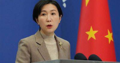 Китай поддержал "мирные инициативы" лидеров стран Африки: "война и санкции не решат никакой проблемы"