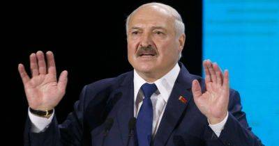 Лукашенко считает, что находится в "зоне боевых действий ИПСО" (видео)