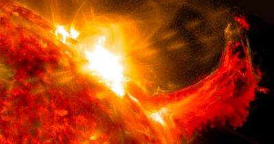 Ощутят влияние летнего солнцестояния 2023 года: кому из знаков Зодиака нужно быть осторожными