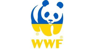 "СВО" против панд: Россия признала "нежелательным" WWF