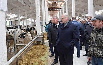 Экс-чиновник: Многие сферы Лукашенко уже не контролирует