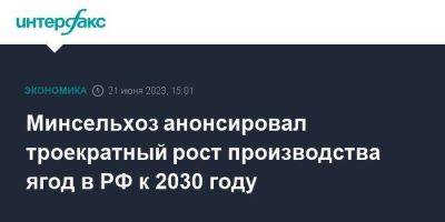 Минсельхоз анонсировал троекратный рост производства ягод в РФ к 2030 году