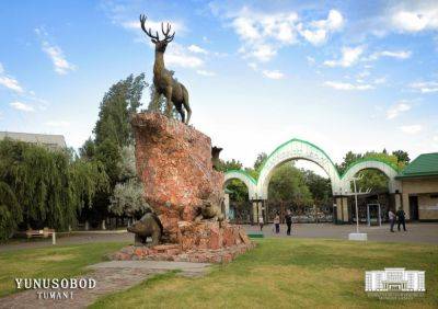 В Ташкентском зоопарке появится светомузыкальный фонтан