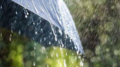 Прогноз синоптика: в каких областях завтра ожидаются грозовые дожди