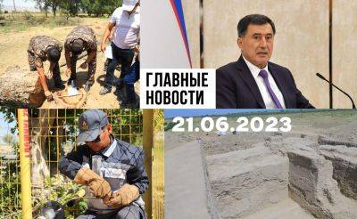 Опасные детсады, криминальное трио и кайфуем. Новости Узбекистана: главное на 21 июня