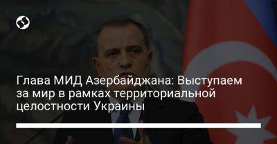 Глава МИД Азербайджана: Выступаем за мир в рамках территориальной целостности Украины