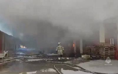 В Ростовской области РФ произошел масштабный пожар на складе