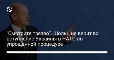 "Смотрите трезво". Шольц не верит во вступление Украины в НАТО по упрощенной процедуре