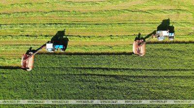 В Беларуси травы убраны почти с 95% площадей
