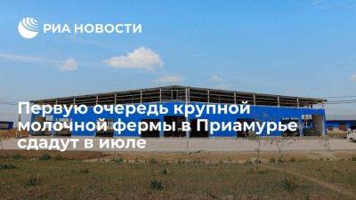 Первую очередь молочной фермы в Ивановском округе Приамурья планируют сдать в конце июля