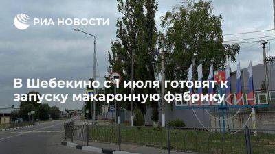 Москалькова заявила, что в Шебекино с 1 июля готовят к запуску макаронную фабрику