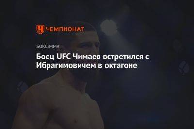 Боец UFC Чимаев встретился с Ибрагимовичем в октагоне