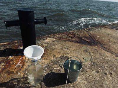 В морской воде на пляжах Одессы обнаружили гельминты | Новости Одессы
