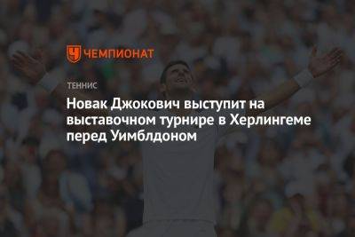 Новак Джокович выступит на выставочном турнире в Херлингеме перед Уимблдоном